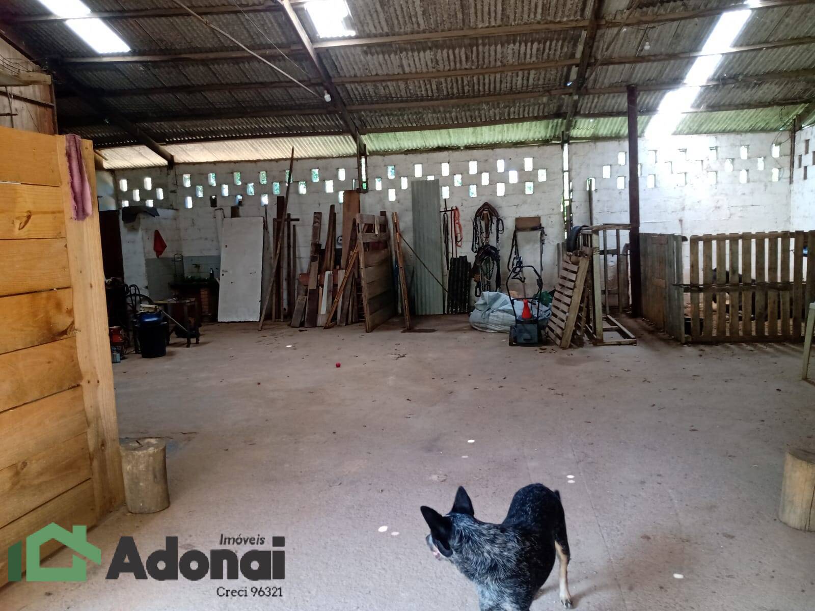 Fazenda à venda com 3 quartos, 374m² - Foto 18