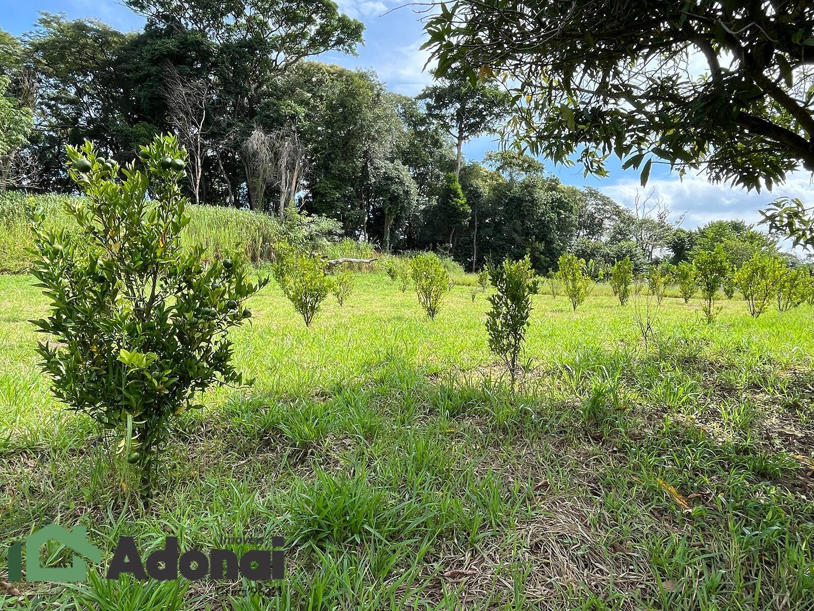 Fazenda à venda com 7 quartos, 400m² - Foto 14