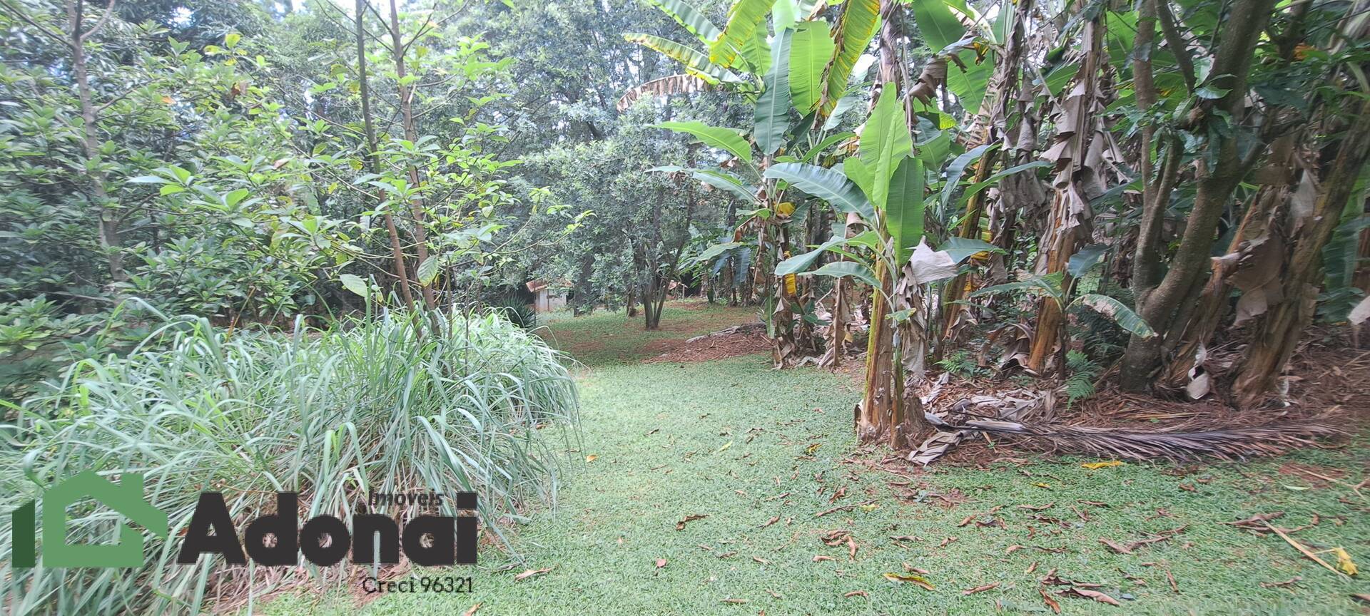 Fazenda à venda, 900m² - Foto 22