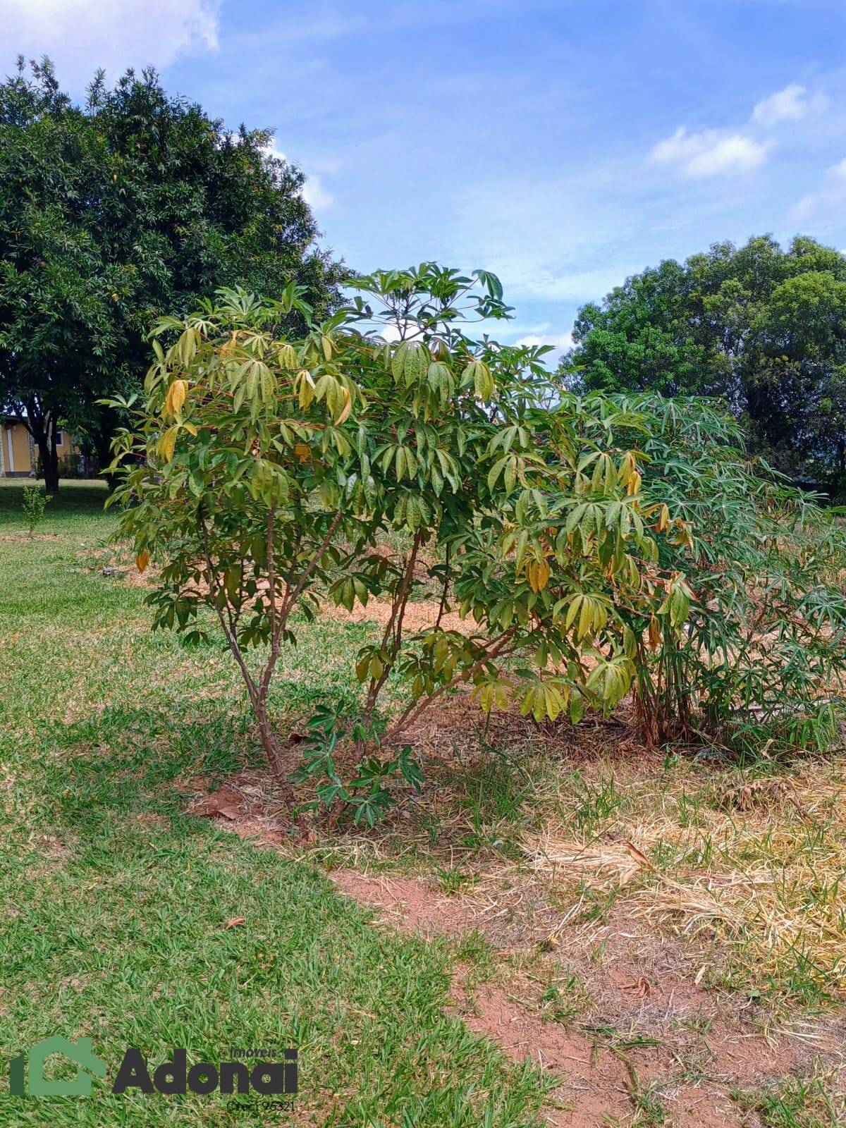 Fazenda à venda, 900m² - Foto 36