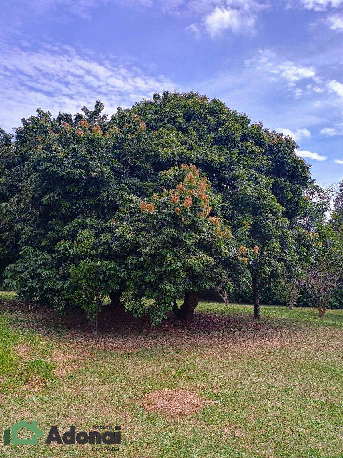 Fazenda à venda, 900m² - Foto 42