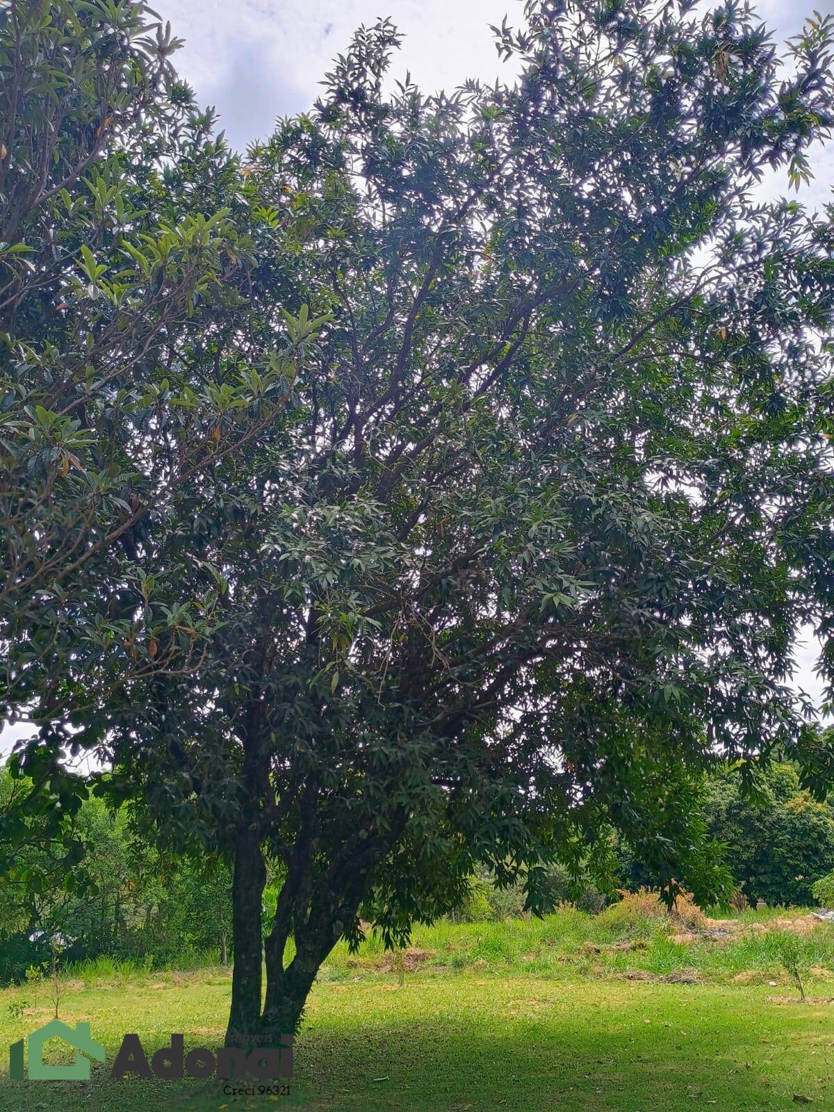 Fazenda à venda, 900m² - Foto 44