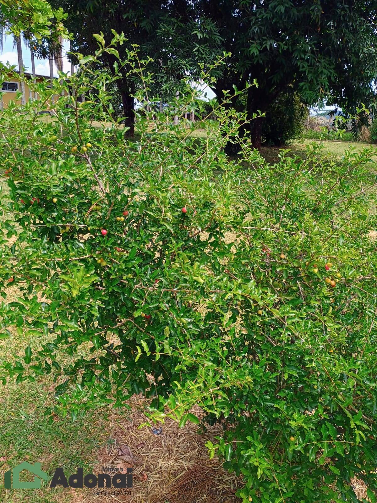 Fazenda à venda, 900m² - Foto 45