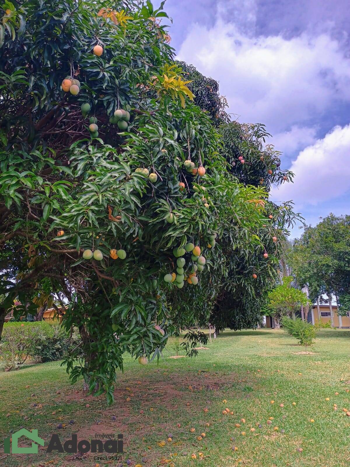 Fazenda à venda, 900m² - Foto 48