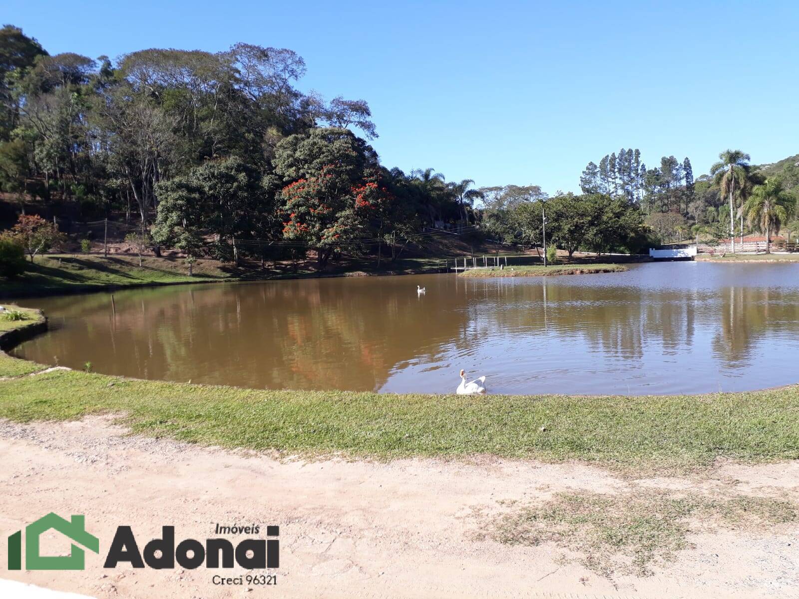 Fazenda à venda com 4 quartos, 350m² - Foto 12