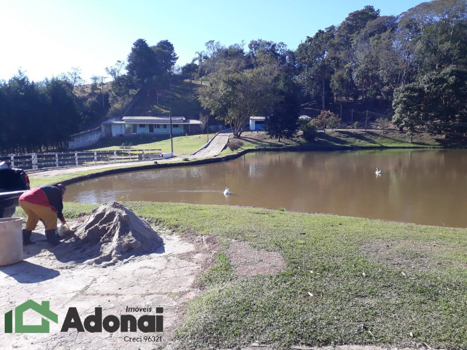 Fazenda à venda com 4 quartos, 350m² - Foto 10