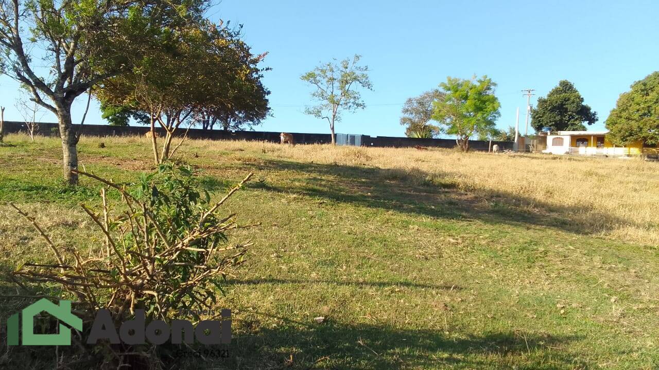 Fazenda à venda com 4 quartos, 350m² - Foto 15