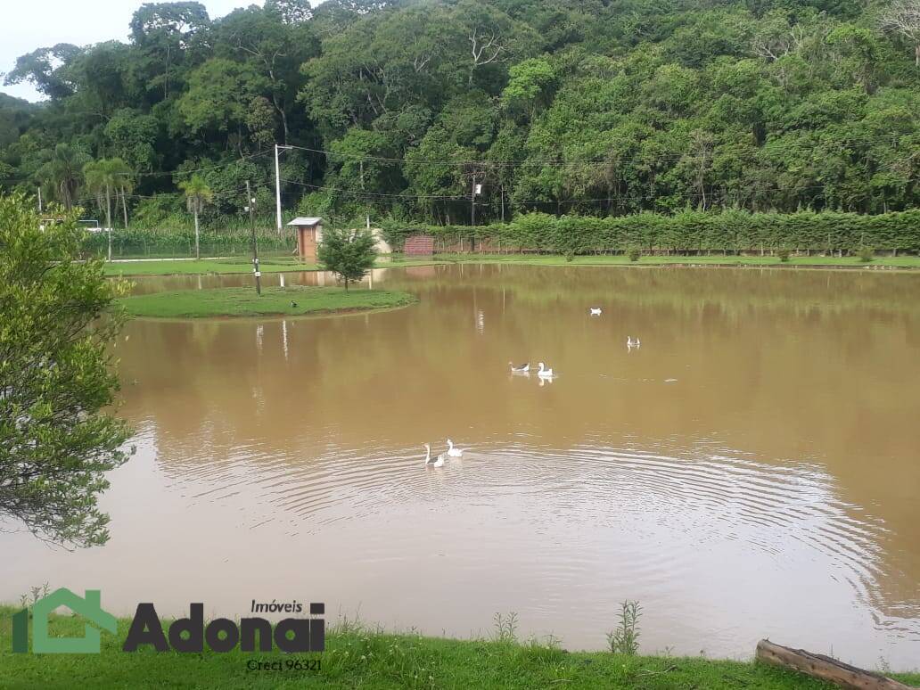 Fazenda à venda com 4 quartos, 350m² - Foto 14