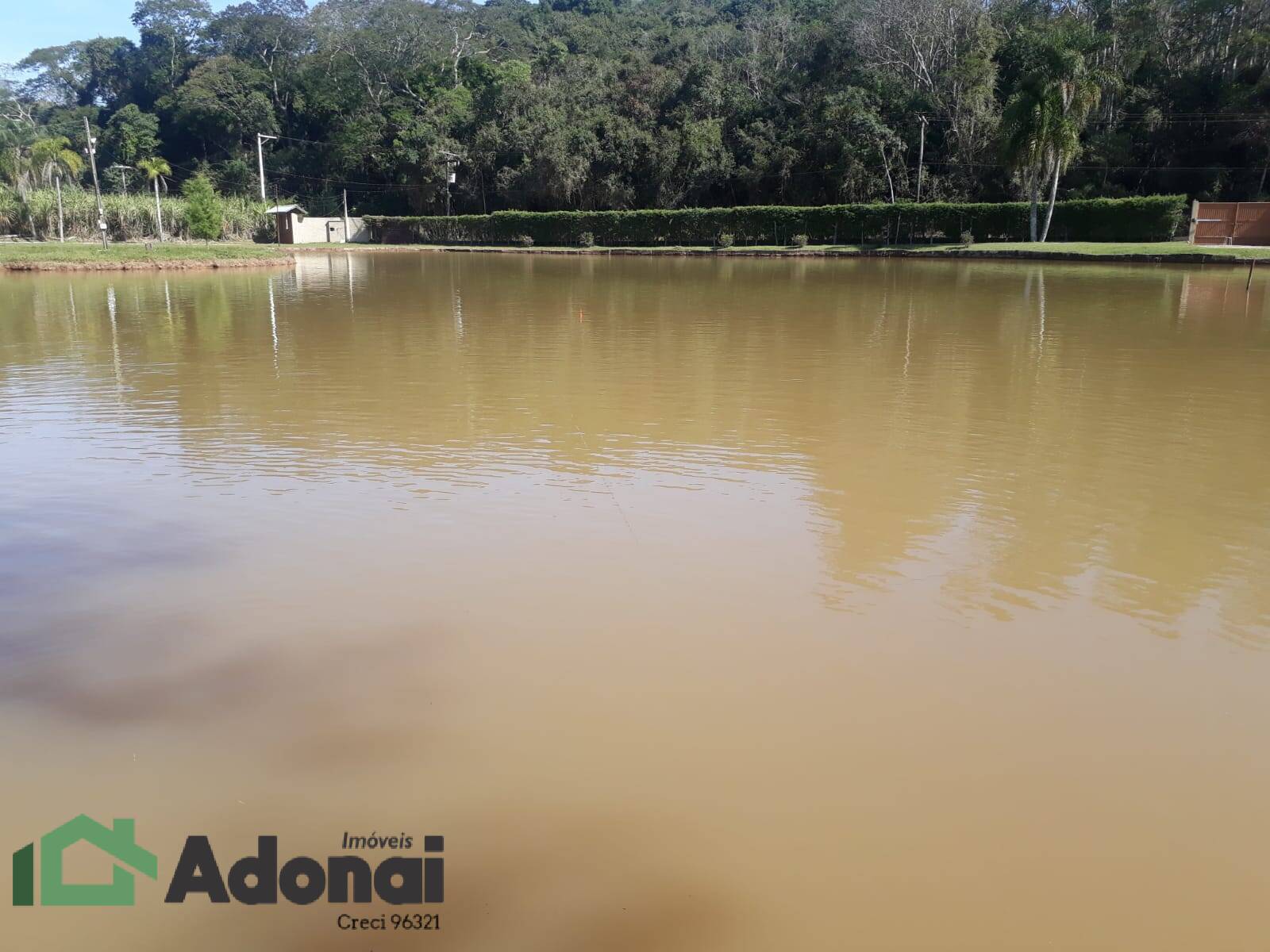 Fazenda à venda com 4 quartos, 350m² - Foto 20