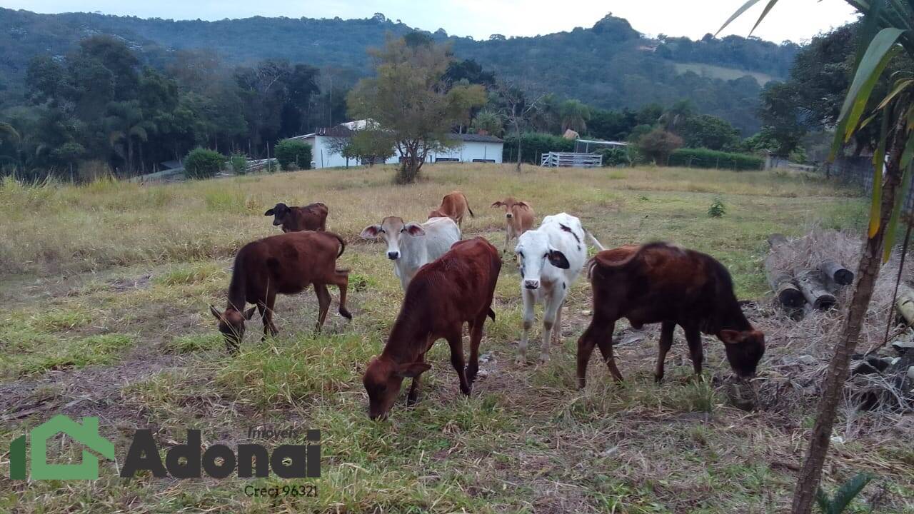 Fazenda à venda com 4 quartos, 350m² - Foto 19